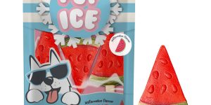 Παγωτό Σκύλου Pup Ice Fruity Lollies Watermellon 3τεμ 90gr